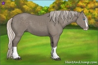 Horse Color:Silver Grullo Splash