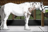 Horse Color:Liver Chestnut Sabino Near Leopard 