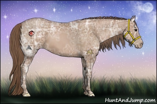 Horse Color:Black Ice Pearl 