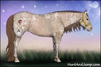 Horse Color:Black Ice Pearl 