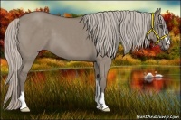 Horse Color:Silver Grullo Sabino Frame