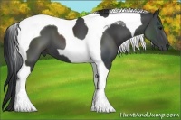 Horse Color:Black Tobiano 