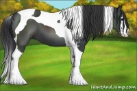 Horse Color:Black Sabino Tobiano 