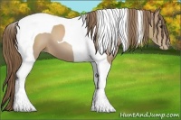 Horse Color:Black Pearl Tobiano