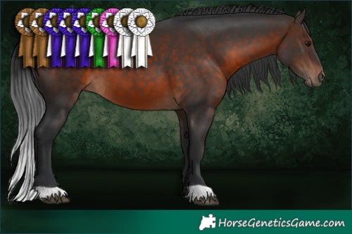 Horse Color:Brown 