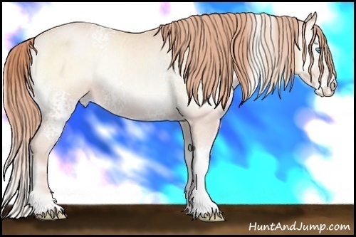 Horse Color:White Spotted Buckskin Pearl Onyx Varnish 