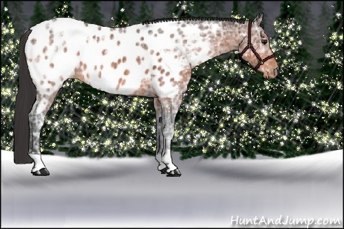 Horse Color:Brown Ice Near Leopard 