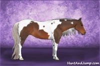 Horse Color:Silver Brown Tobiano 