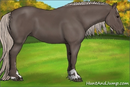 Horse Color:Silver Black Sabino 