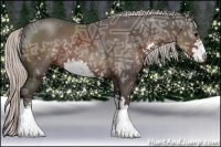 Horse Color:Silver Black Ice Sabino 