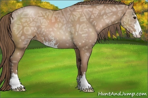 Horse Color:Black Ice Pearl Sabino