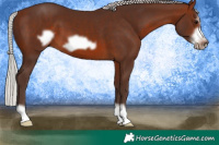 Horse Color:Silver Brown Frame 