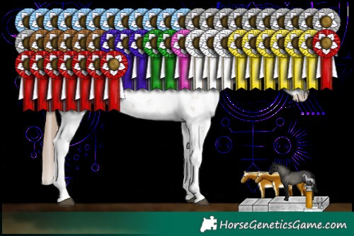 Horse Color:Grullo Pearl Sabino