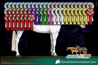 Horse Color:Grullo Pearl Sabino