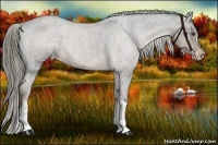 Horse Color:Liver Red Roan Mushroom Varnish