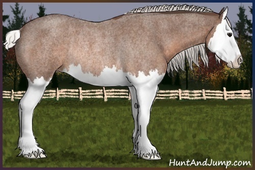 Horse Color:Silver Brown Roan Splash Rabicano