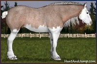Horse Color:Silver Brown Roan Splash Rabicano