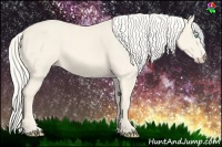 Horse Color:Cremello 