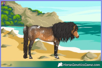 Horse Color:White Spotted Buckskin 