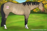 Horse Color:Brown Dun Rabicano