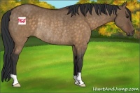 Horse Color:Brown Dun Rabicano 