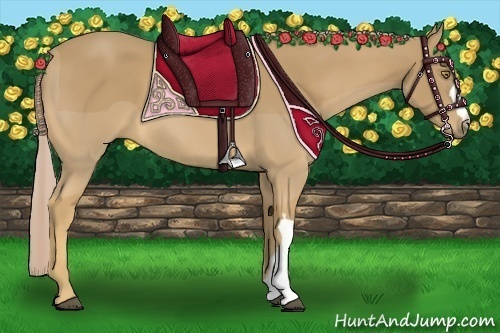 Horse Color:Palomino 