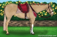 Horse Color:Palomino 