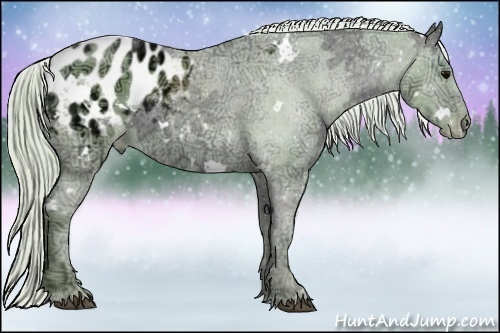 Horse Color:Watercolor White Spotted Silver Black Ice Sabino Appaloosa 