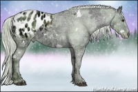 Horse Color:Watercolor White Spotted Silver Black Ice Sabino Appaloosa 