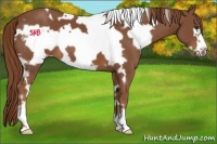 Horse Color:White Spotted Chestnut Frame