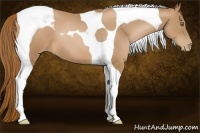 Horse Color:Chestnut Pearl Tobiano 