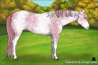 Horse Color:Watercolor White Spotted Chestnut Ice Sabino 