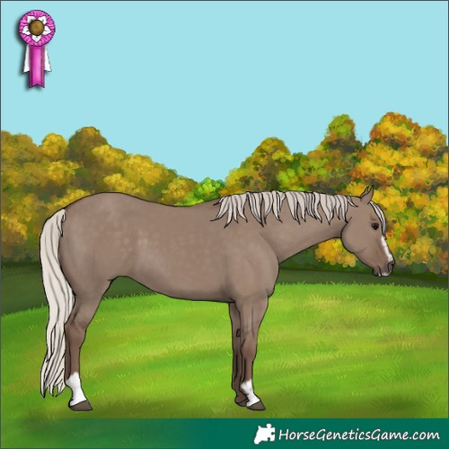 Horse Color:Unknown 
