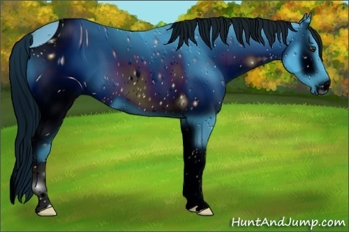 Horse Color:ERROR: UNKNOWN ANOMALY