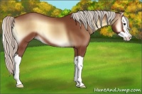 Horse Color:Silver Bay Onyx Splash 