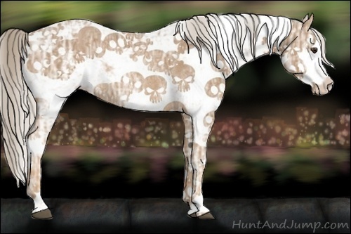 Horse Color:Palomino Ice Sabino Rabicano
