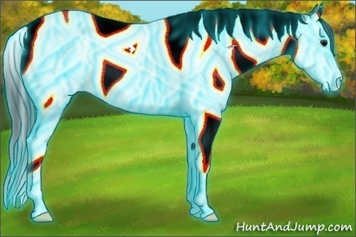 Horse Color:Thunderstruck Brown Roan Splash Tobiano 