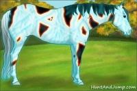 Horse Color:Thunderstruck Brown Roan Splash Tobiano 