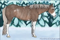 Horse Color:Silver Black Sabino Rabicano 