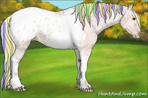 Horse Color:Painted Silver Brown Ice Dun Tobiano Appaloosa 