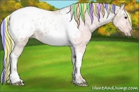 Horse Color:Painted Silver Brown Ice Dun Tobiano Appaloosa 