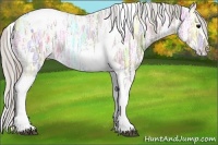 Horse Color:Silver Grullo Ice Tobiano Blanket