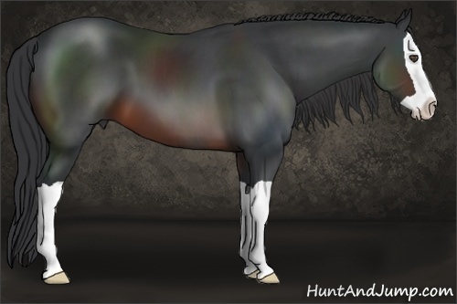 Horse Color:Brown Splash 