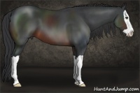Horse Color:Brown Splash
