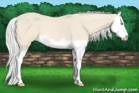 Horse Color:Silver Perlino Splash