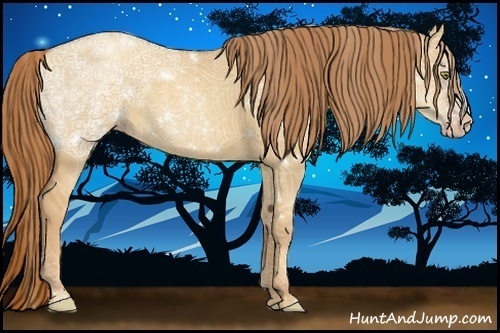 Horse Color:White Spotted Gold Champagne Ice Dun Rabicano 