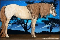 Horse Color:White Spotted Gold Champagne Ice Dun Rabicano 