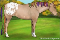 Horse Color:Painted Chestnut Pearl Appaloosa