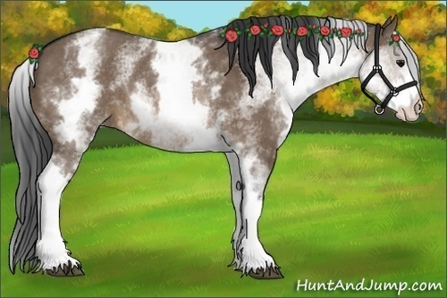 Horse Color:White Spotted Brown Dun Rabicano 