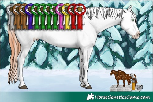 Horse Color:Bay Dun Appaloosa 